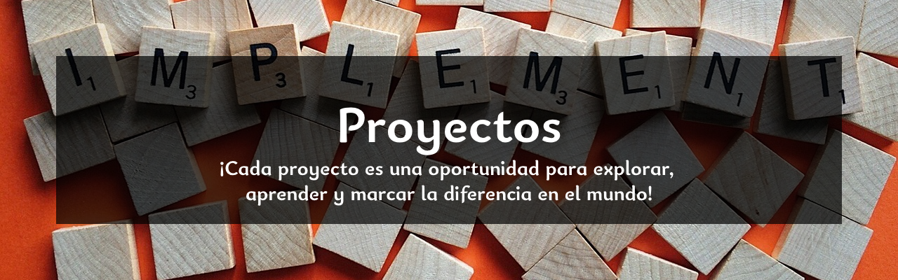 PROYECTOS